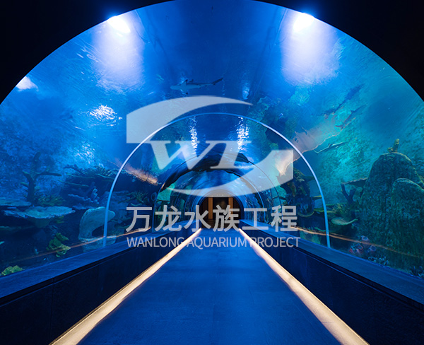 大型海洋主题公园的设计理念是什么？