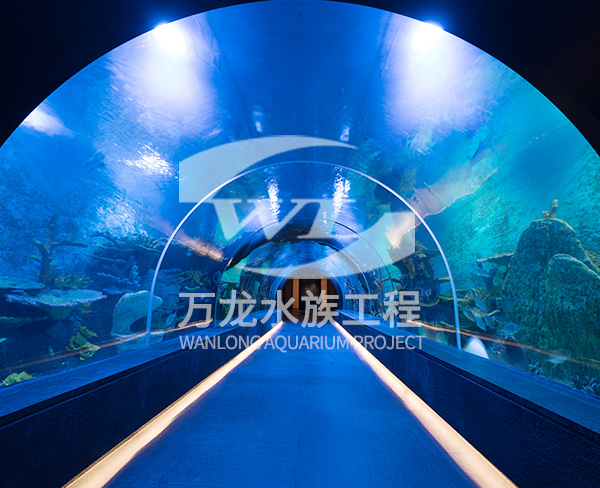 大型水族工程如何设计水循环系统？