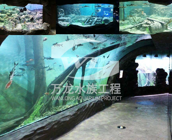 水族工程的工作原理是什么？