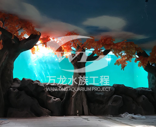 办公室鱼缸的过滤器使用特点