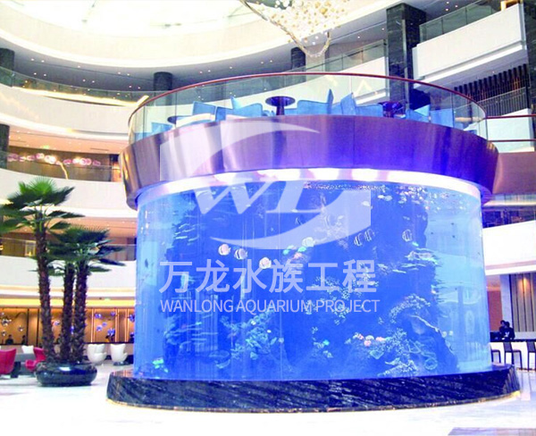 大型亚克力观赏鱼缸对宠物安全吗？