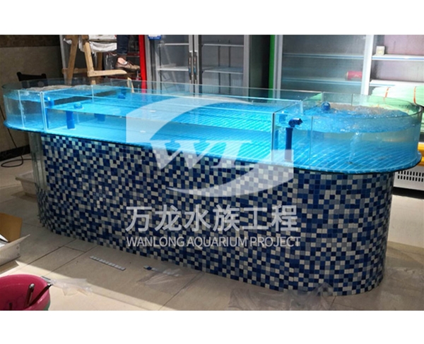 大型亚克力观赏鱼缸适合养什么类型的鱼？