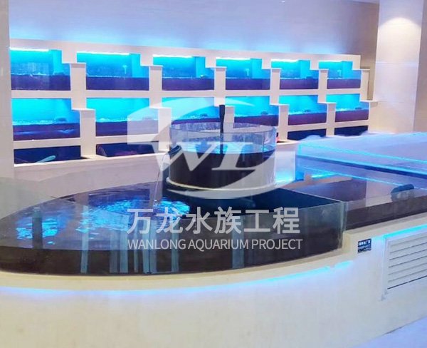 观赏鱼缸需要加装照明设备吗？