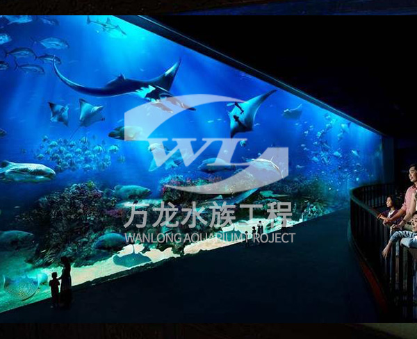 海底景观设计