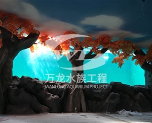 钓虾鱼缸玻璃的功能