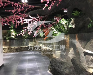 萌宠乐园