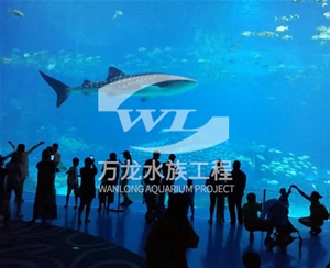 海洋馆