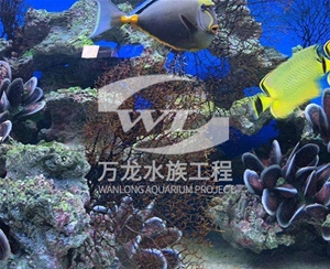 海底景观设计